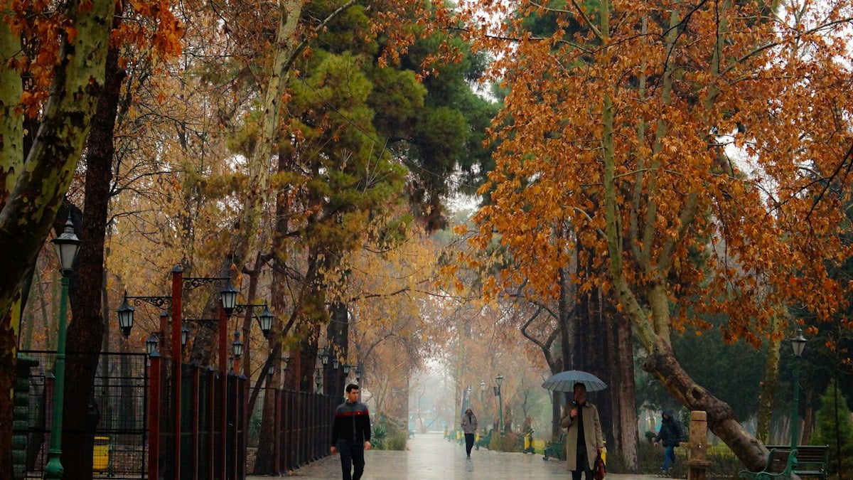people walking down a sidewalk with umbrellas